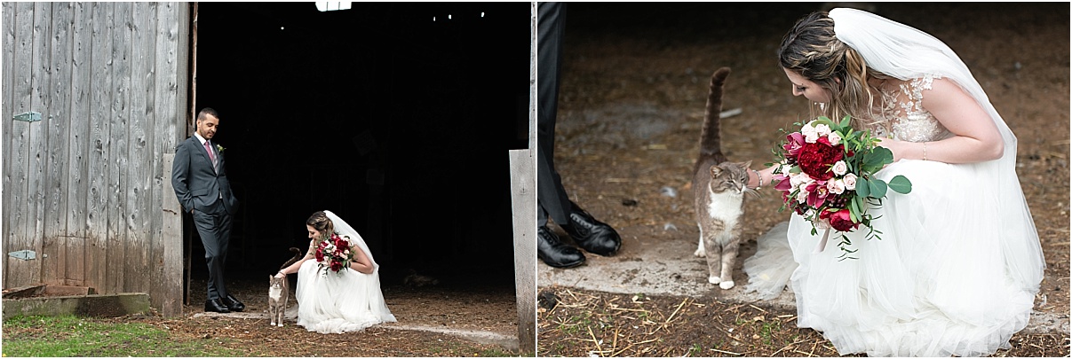 cat and bride ottawa wedding photographer.jpg