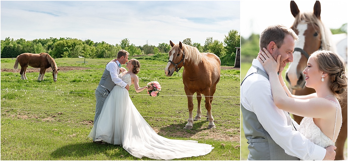 Ottawa wedding photographer Stanley's horses bride and groom.jpg
